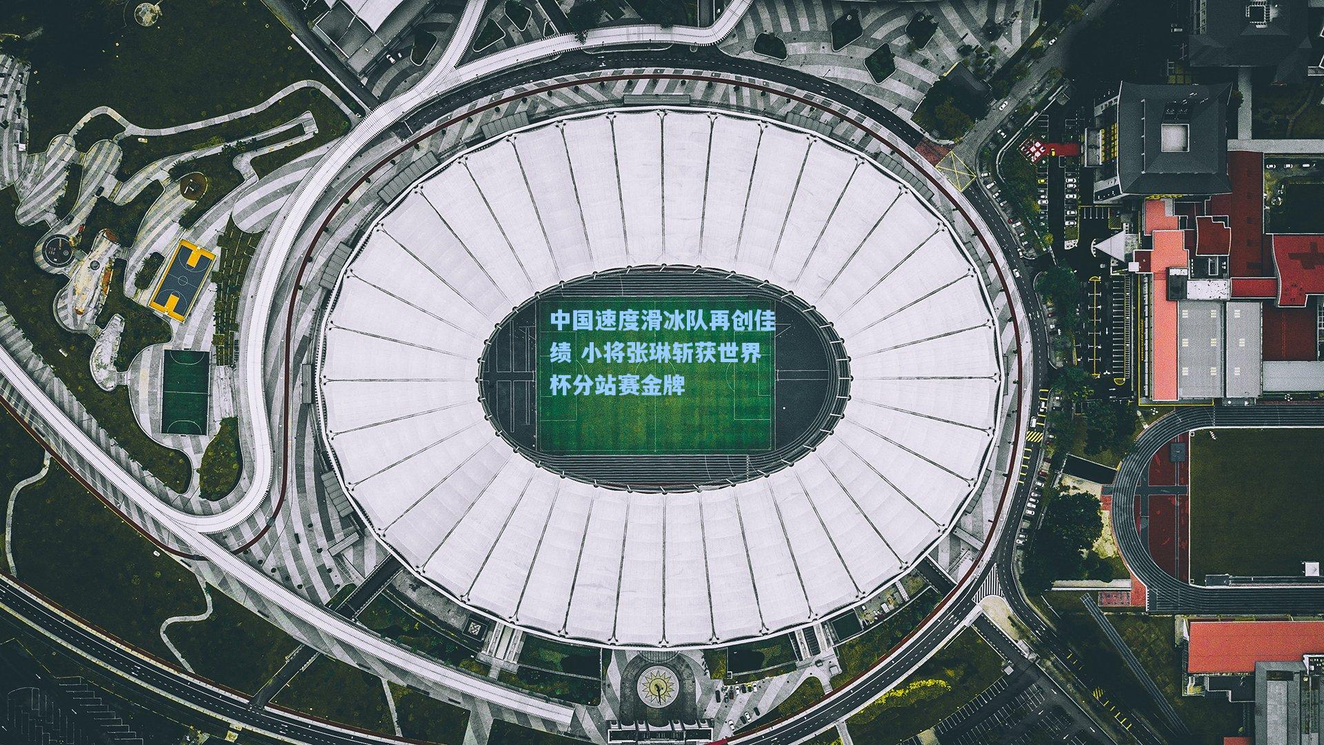 中国速度滑冰队再创佳绩 小将张琳斩获世界杯分站赛金牌